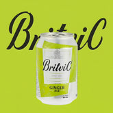 Britvic Ginger Ale 300ml