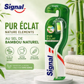 SIGNAL BRUSH