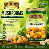 GREEN FARM MUSHROOM PIECES AND STEMS 400 GM