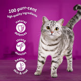 Whiskas 1+ Mixed Menu Adult Wet Cat Food Pouches in Jelly 12 x 85g