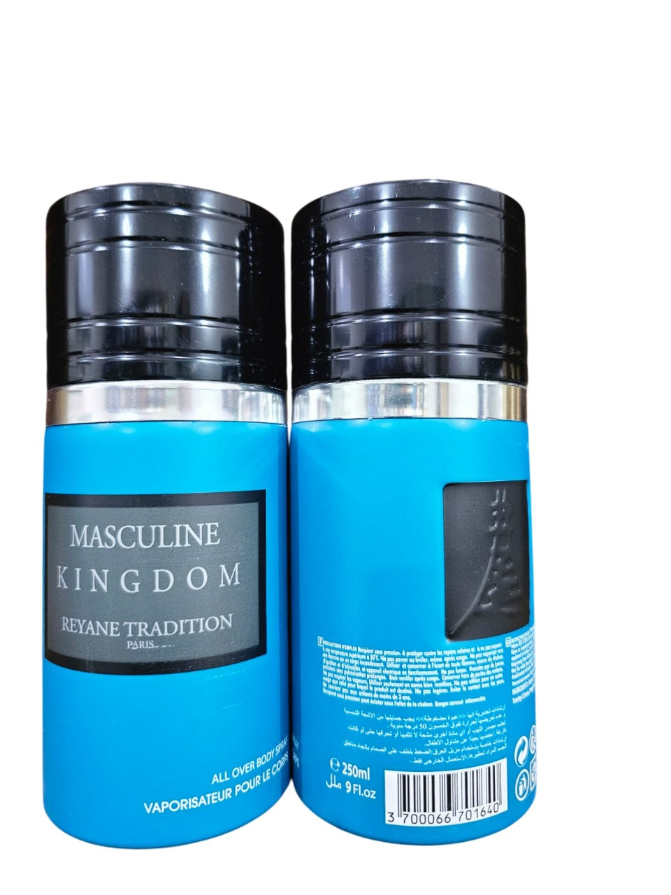 MASCULINE KINGDOM BODY SPRAY 250ML