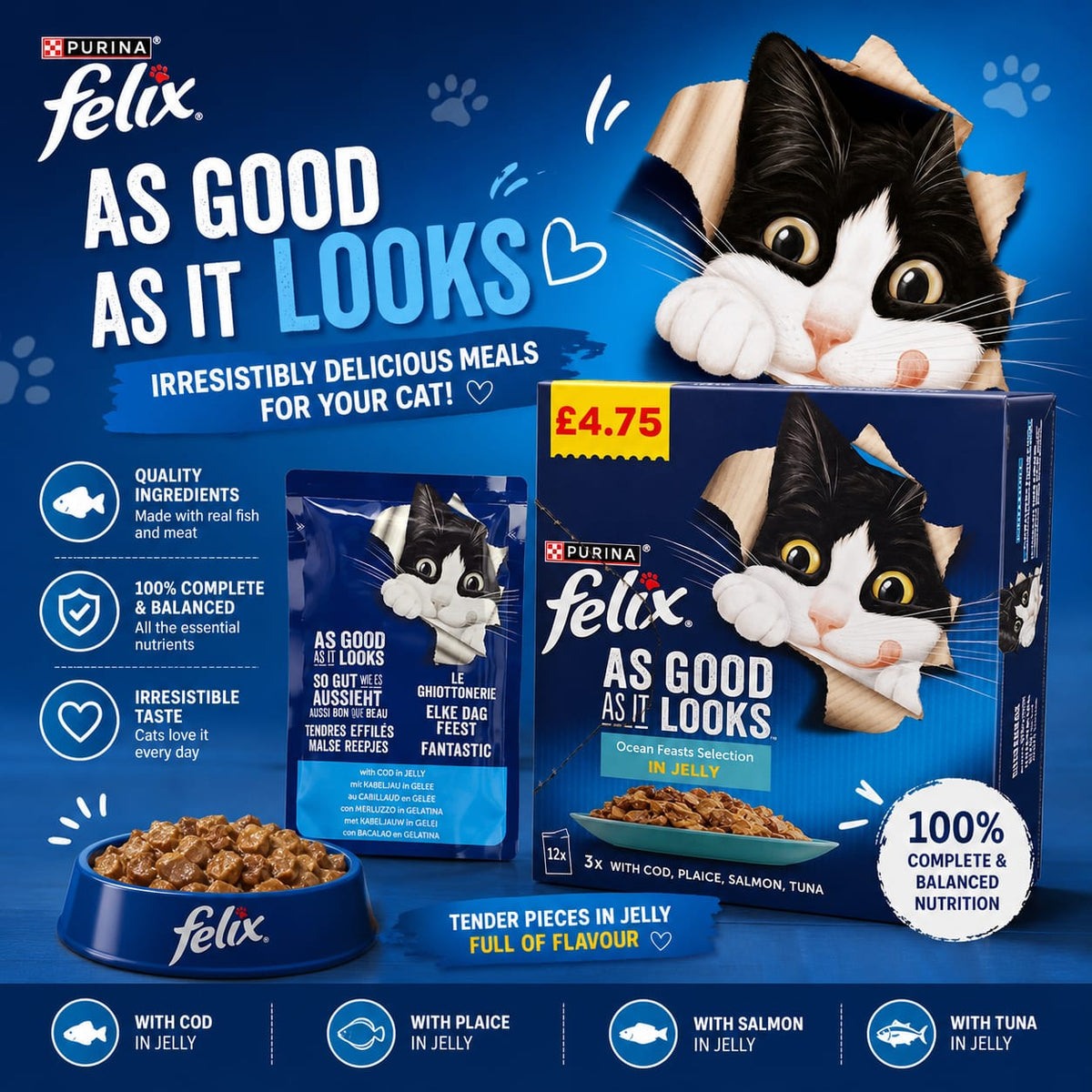 FELIX AGAIL OCEAN FEASTS WET CAT FOOD PMP £4.75 12PK 85G