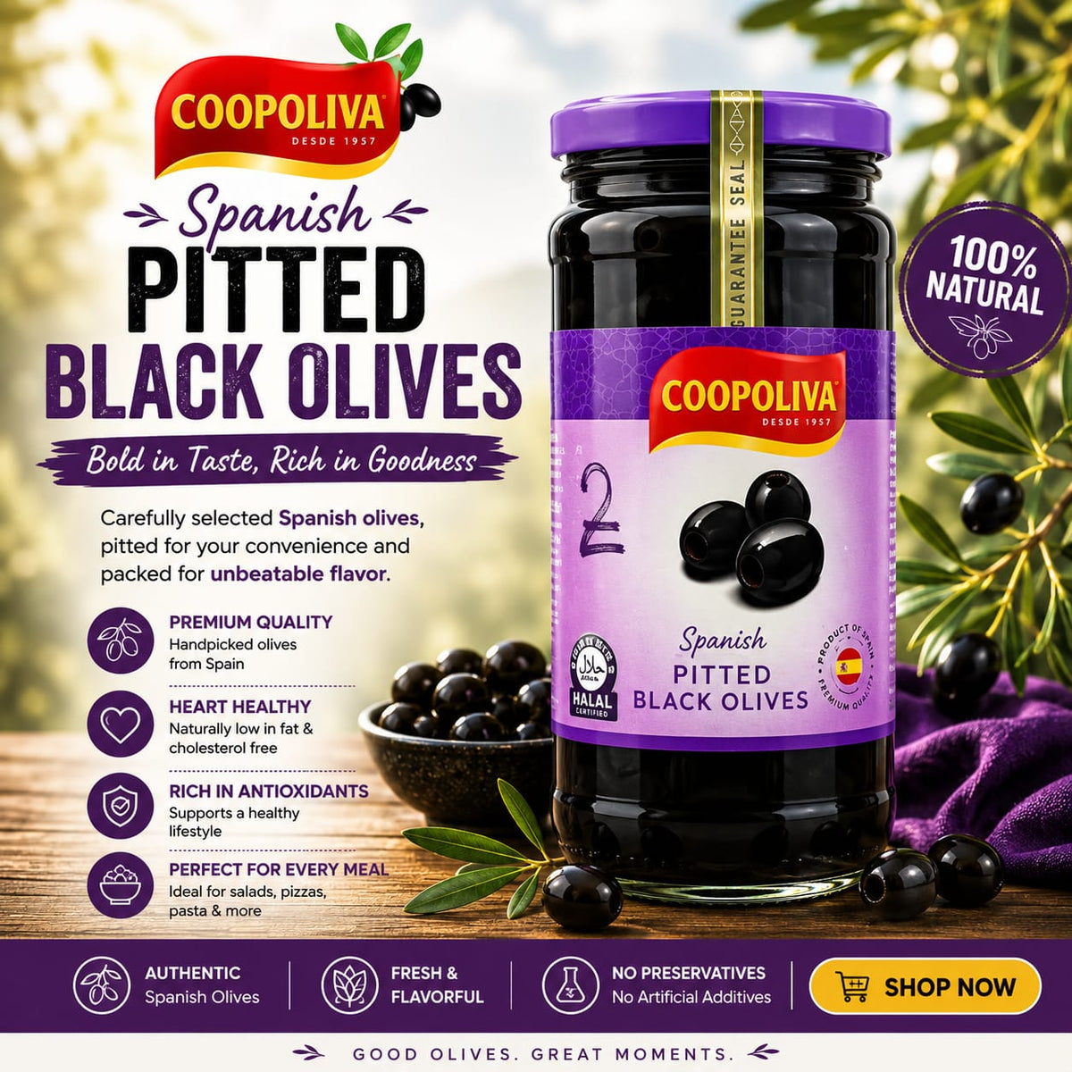 Coopoliva Pitted Black Olives 235 gm