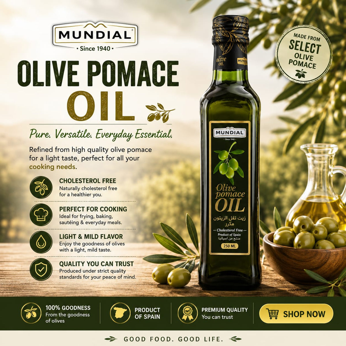 MUNDIAL OLIVE OIL POMACE BOTTLE 250 ML