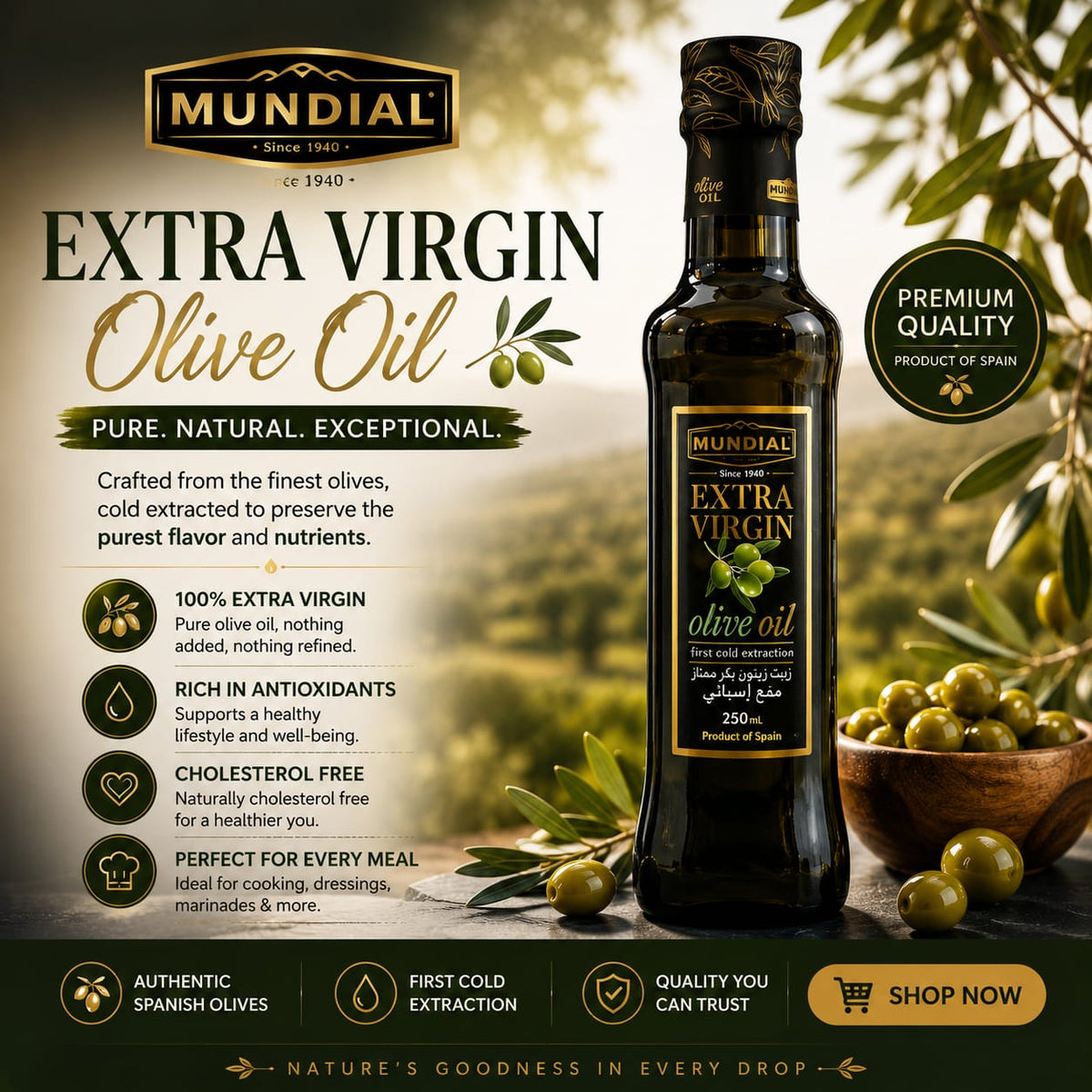 MUNDIAL OLIVE OIL EXTRA VIRGIN BOTTLE 250 ML