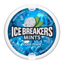 Ice Breakers Mints Cool Mint Gum 42g