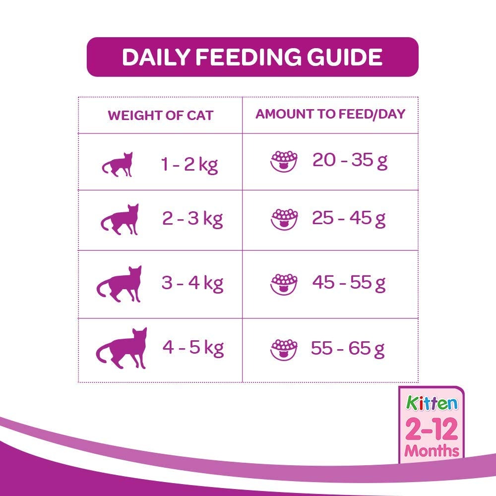 WHISKAS Kitten Dry Food, Ocean Fish with Milk 480gm
