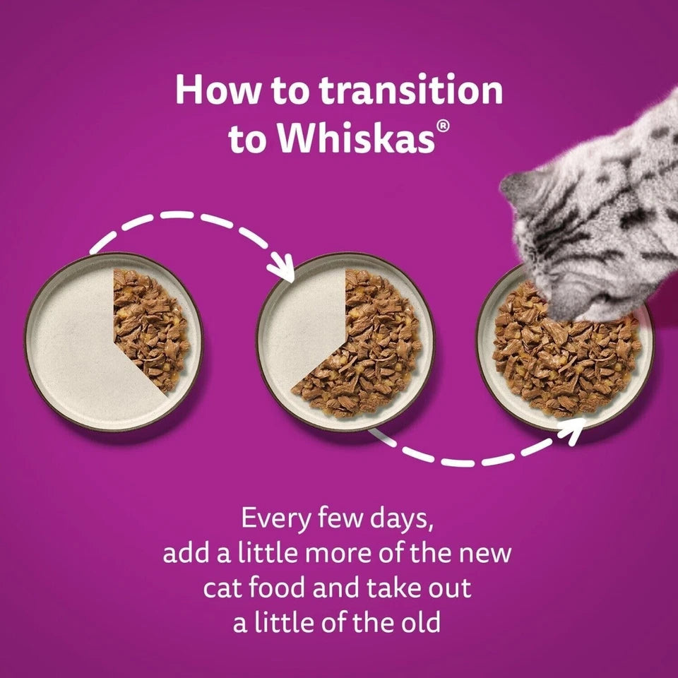 Whiskas® Kitten 2-12 Months Poultry Feasts In Jelly Wet Kitten Food Pouches 12 X 85G